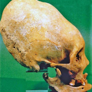 Загадочный череп