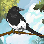 Сорока Сорока