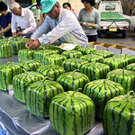 Квадратная ягода