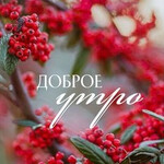 Доброе утро Доброе утро