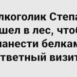 Алкоголик Степан пошел в лес