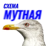 Схема мутная