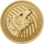 Золотой Канадский Медведь