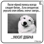 Белая полоса