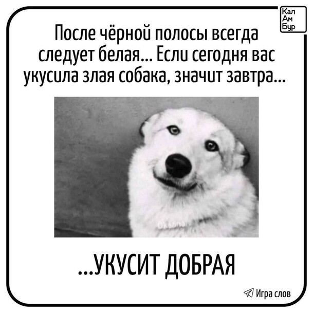 Белая полоса