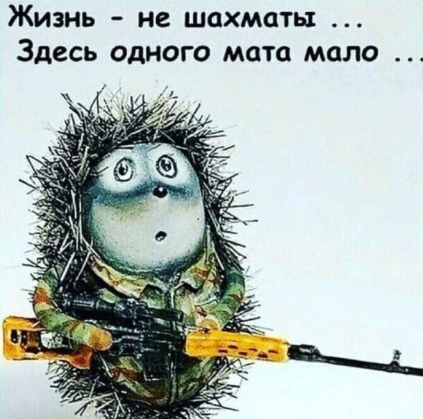 Жизнь не шахматы