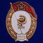 Знак об окончании Медицинского училища СССР копия