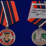 Ветеран Дачных войск - Медаль купить