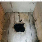 Красиво жить не запретишь Красиво жить не запретишь