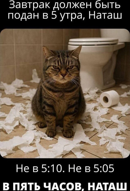 Завтрак должен быть Завтрак должен быть