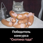 Скотина года