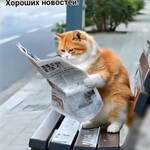 Хороших новостей