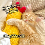 С доброй субботой