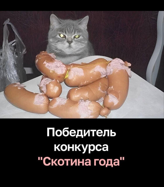 Скотина года