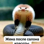 Жена после салона красоты Жена после салона красоты