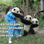 Когда второй день бухаешь Когда второй день бухаешь