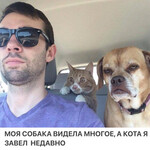 Моя собака видела многое Моя собака видела многое