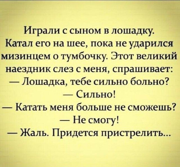 Играли с сыном в лошадку Играли с сыном в лошадку