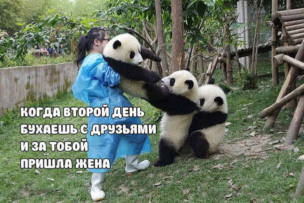 Когда второй день бухаешь Когда второй день бухаешь