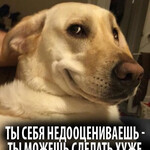 Ты себя недооцениваешь