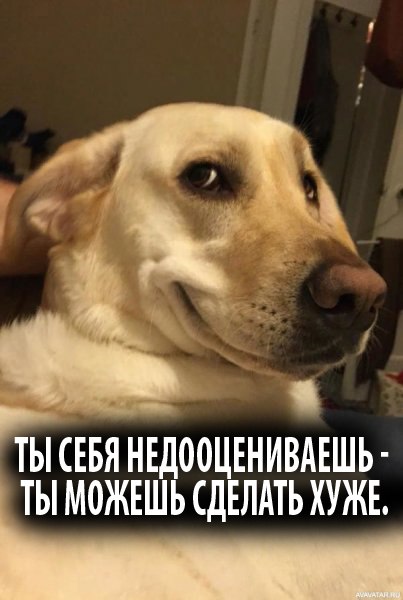 Ты себя недооцениваешь Ты себя недооцениваешь