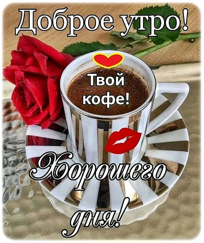 Доброе утро ! Хорошего дня