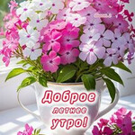 Доброе летнее утро Доброе летнее утро
