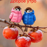 Доброе утро
