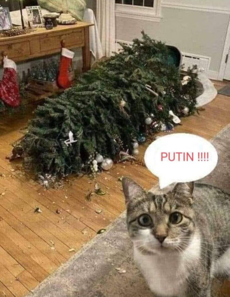 Это Путин виноват