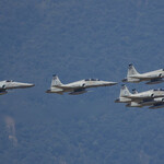 Истребители серии Northtop F-5