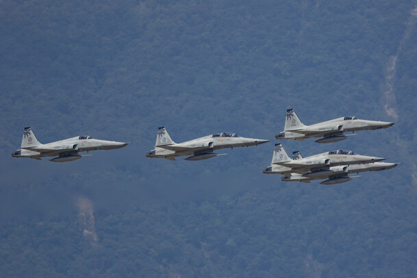 Истребители серии Northtop F-5 Истребители серии Northtop F-5