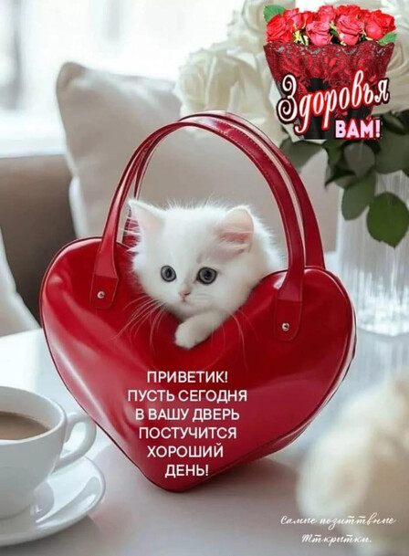 Здоровья Вам Здоровья Вам