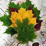 Доброе утро Доброе утро