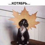 Котябрь Котябрь