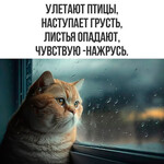 Листья опадают Листья опадают