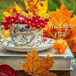 Чудесного утра Чудесного утра