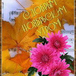 С добрым ноябрьским утром