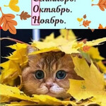 Так хочется спать Так хочется спать