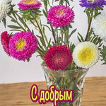 С добрым сентябрьским утром