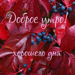 Хорошего дня Хорошего дня