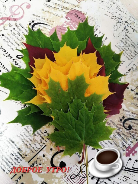 Доброе утро