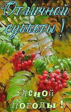 Отличной субботы