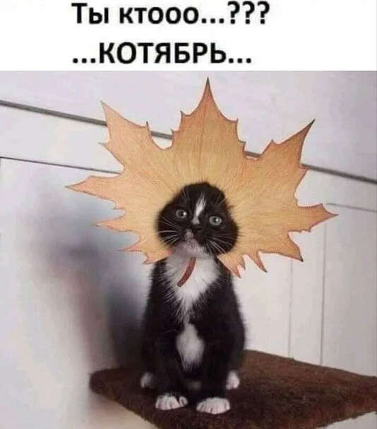 Котябрь