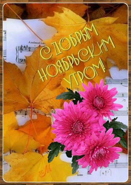 С добрым ноябрьским утром С добрым ноябрьским утром