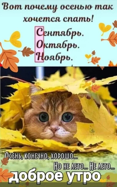 Так хочется спать Так хочется спать