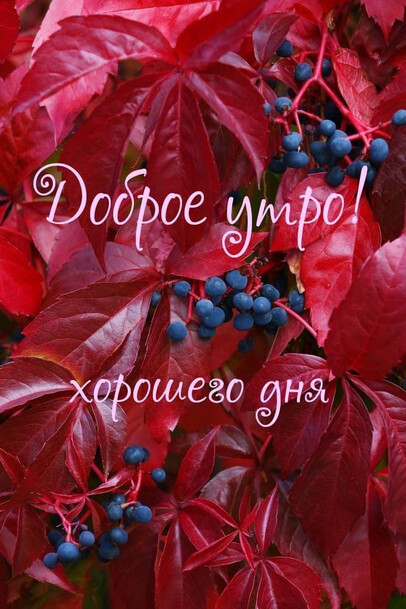 Хорошего дня
